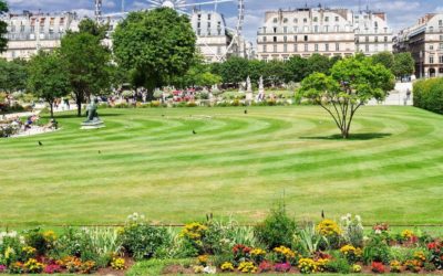 Top 10 Best Parks in Paris for a Lazy Afternoon