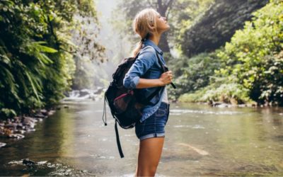 Sustainable Travel Tips for Visiting Paris
