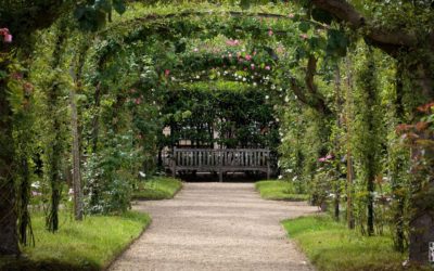 Top 10 Best Hidden Gardens in Paris for a Peaceful Retreat 